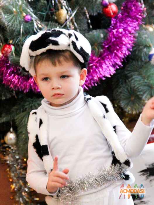 Ольга Николаевна Швец фото №1178917. Завантажено 03 Лютого 2018