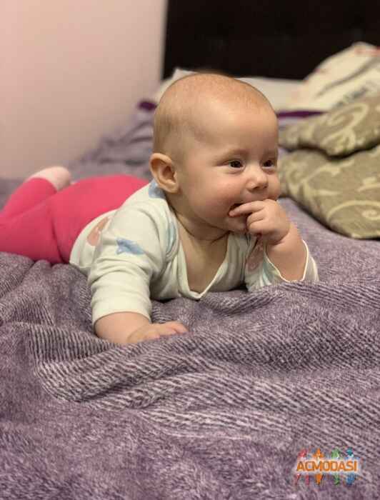 Мия Данииловна Миронова фото №1490020. Завантажено 20 Грудня 2019