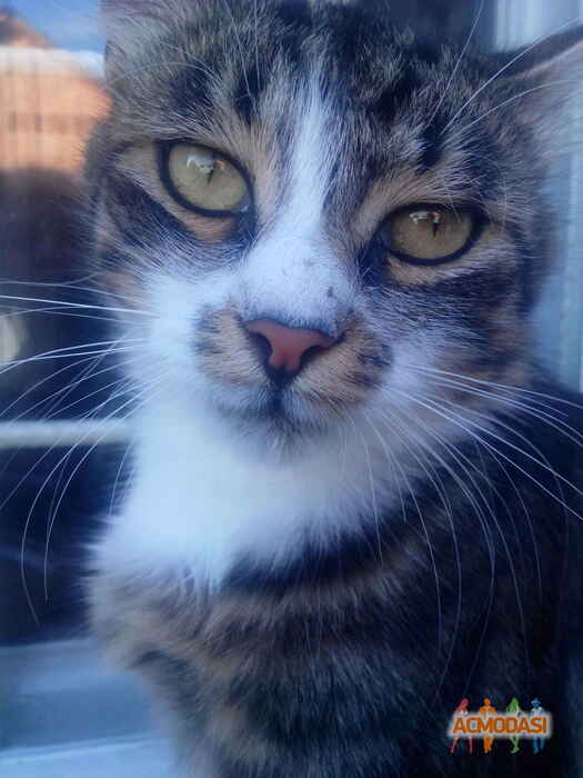 Ольга   фото №1018573. Завантажено 10 Лютого 2017