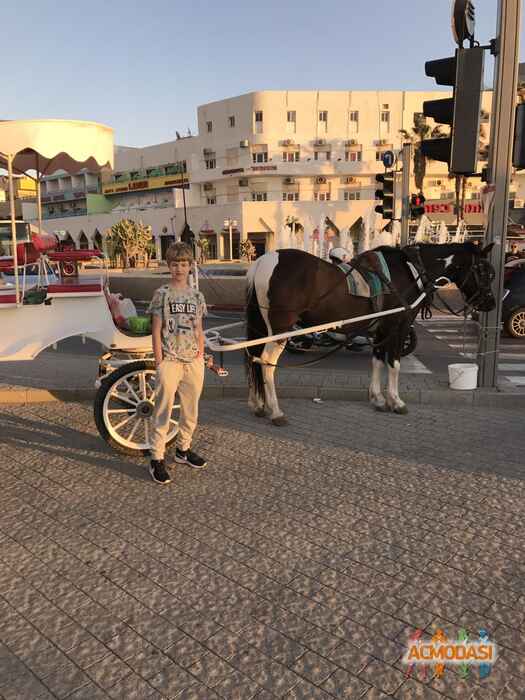 Нікіта Русланович Дзигар фото №1138995. Завантажено 18 Листопада 2017