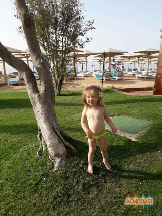 Вероніка Дмитрівна Бондар фото №1298753. Завантажено 27 Вересня 2018