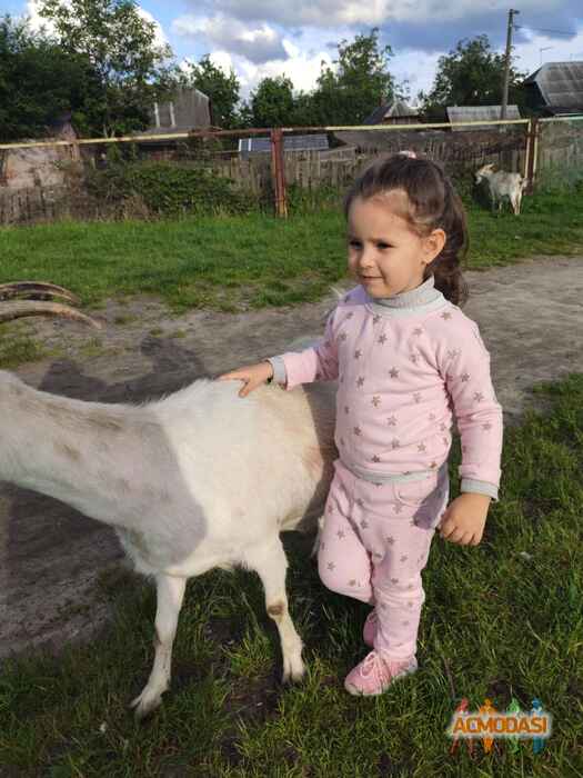 Daria  Buyukalaca фото №1542970. Завантажено 27 Червня 2020