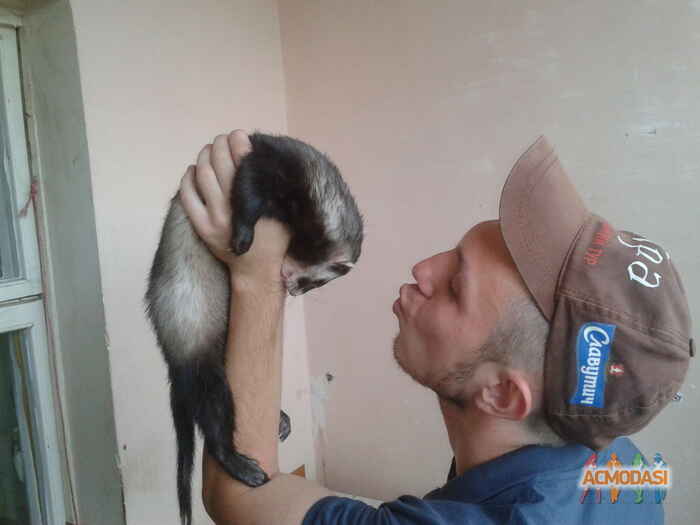 Євгеній Сергійович Кастанеда фото №1014394. Завантажено 31 Січня 2017