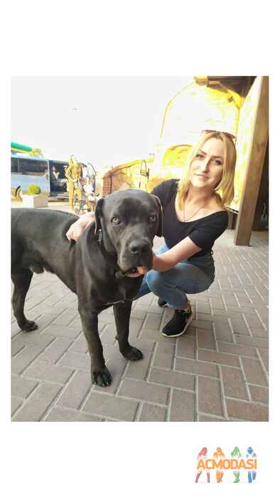 Іванка Олександрівна Латковська фото №1451680. Завантажено 22 Вересня 2019