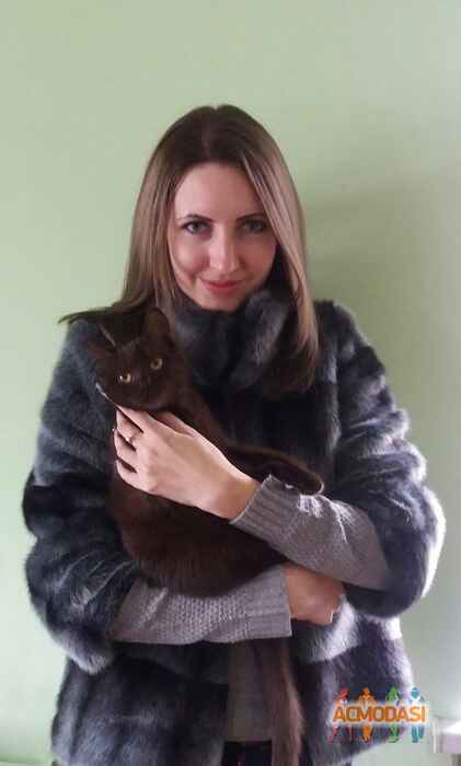Юля  Лана фото №974704. Завантажено 22 Жовтня 2016