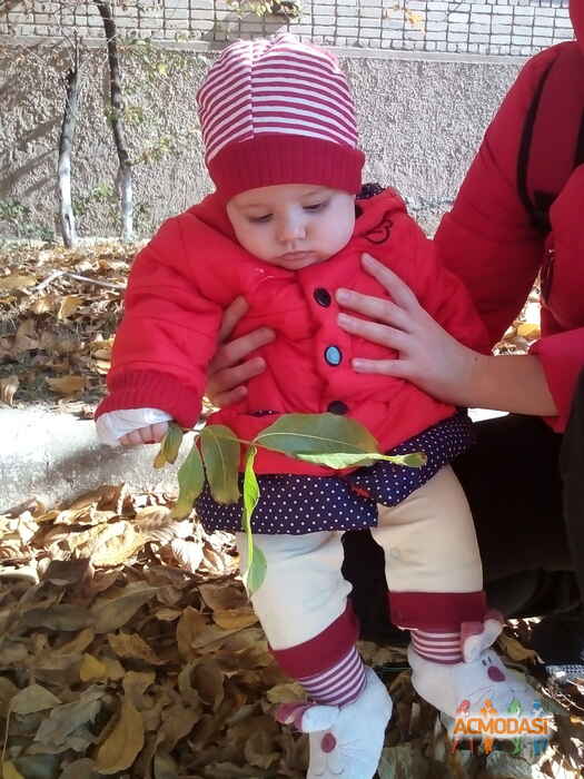 Маргарита Николаевна Носаченко фото №1137922. Завантажено 16 Листопада 2017