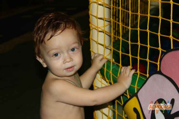 Дмитро Артемович Волков фото №1012693. Завантажено 27 Січня 2017