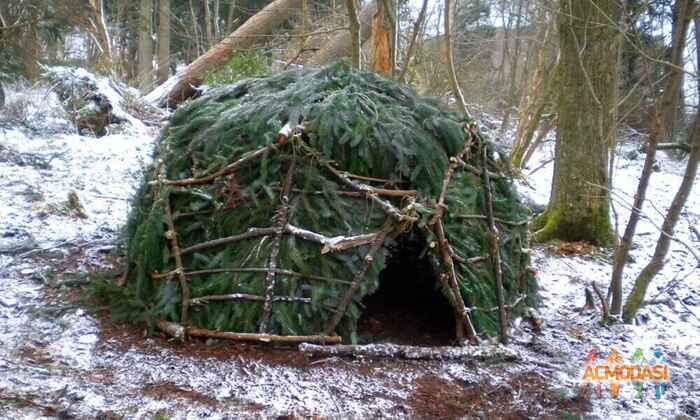 Виктор   фото №1525830. Завантажено 30 Квітня 2020