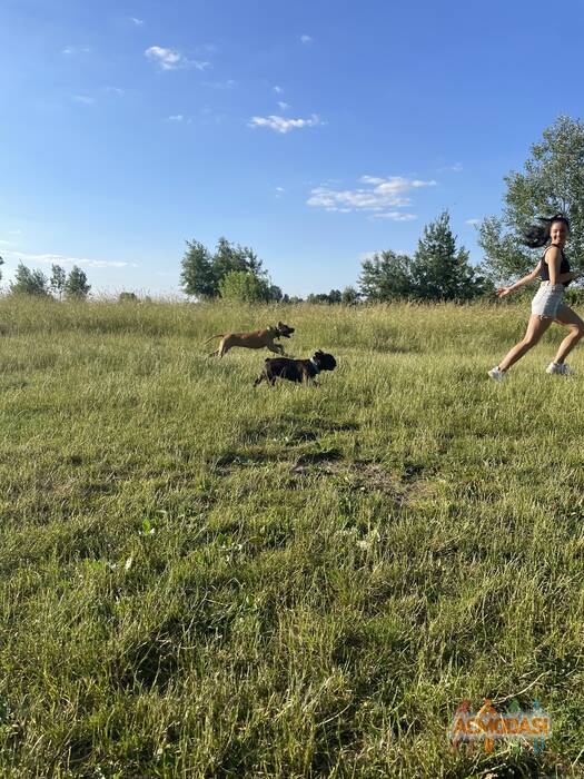 Валерія  Плівінська фото №1704766. Завантажено 15 Січня 2023