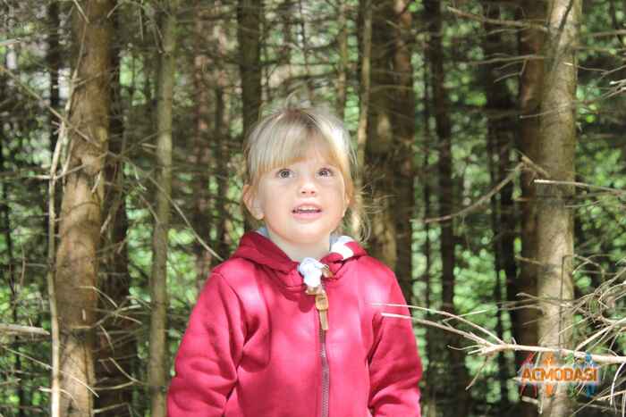 Ярослава  Пешевич фото №1095455. Завантажено 24 Серпня 2017