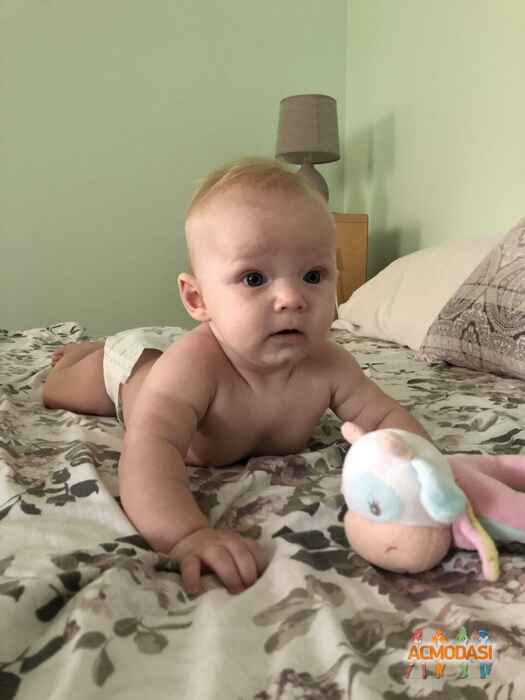 Марко Романович Рогочий фото №1442525. Завантажено 31 Серпня 2019