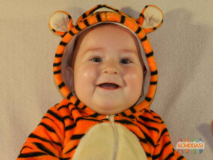 влад климентийович коломиец фото №1166644. Завантажено 17 Січня 2018