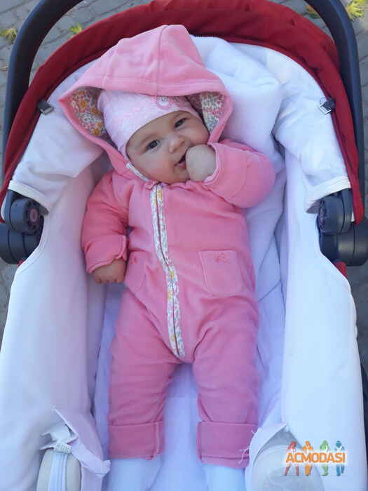 Вероника   фото №1480382. Завантажено 26 Листопада 2019