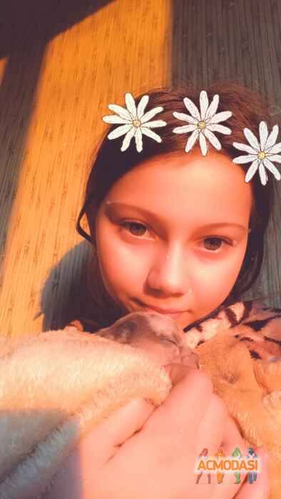 Даша Романовна Клименко фото №1471935. Завантажено 07 Листопада 2019