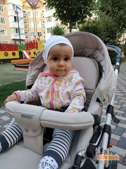 Аглая Олексіївна Мельниченко фото №1447330. Завантажено 11 Вересня 2019