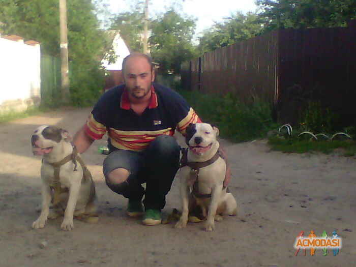 Борис Александрович Рылов фото №422489. Завантажено 04 Червня 2013