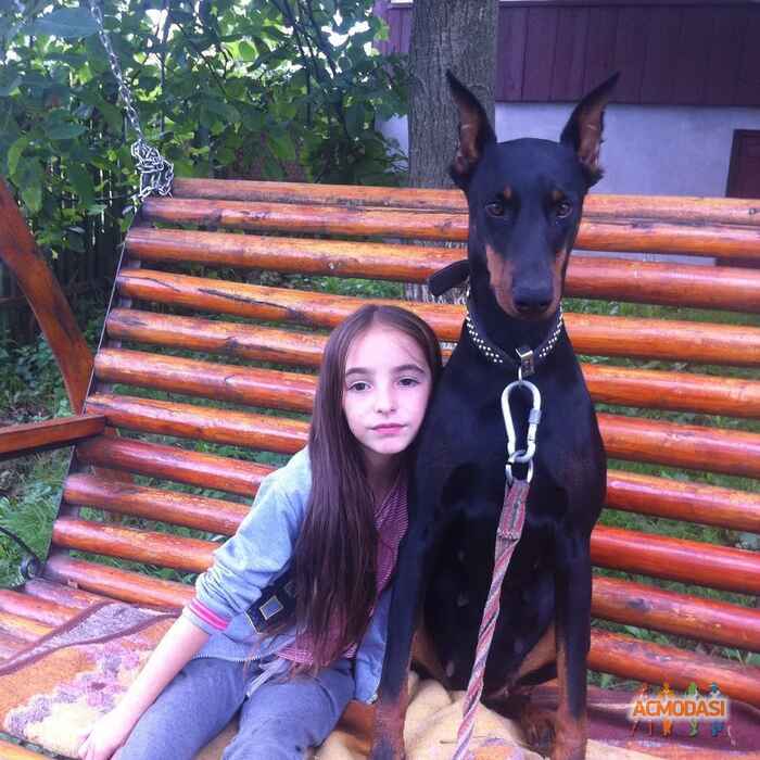 Настя  Боднар фото №1249178. Завантажено 24 Червня 2018