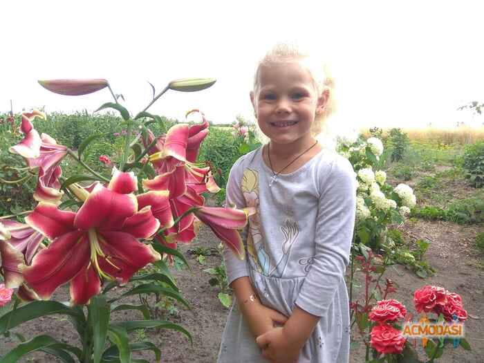 Маргарита Андріївна Капленко фото №1422593. Завантажено 14 Липня 2019