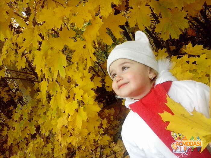 Катюша   фото №662994. Завантажено 02 Червня 2014