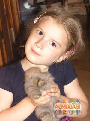 Амалия Андреевна Струцкая фото №908624. Завантажено 11 Травня 2016