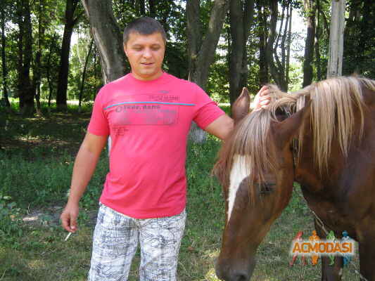 Владимир Петрович Клименко фото №347926. Завантажено 16 Лютого 2013