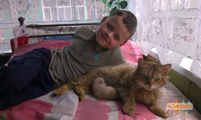 Дмитро Володимирович Білогуб фото №994280. Завантажено 06 Грудня 2016