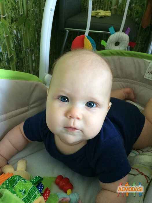 Алиса   фото №965519. Завантажено 02 Жовтня 2016