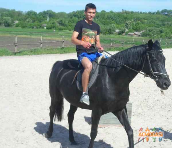 Павло Олегович Дидык фото №1184293. Завантажено 11 Лютого 2018