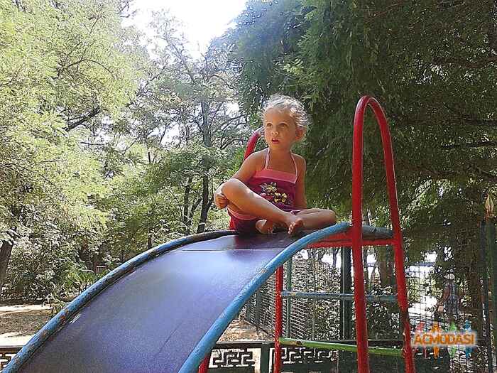 Анастасія Сергіївна Вернигора фото №1015029. Завантажено 02 Лютого 2017