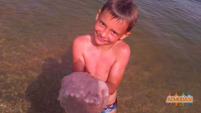 Света  Гавяз фото №1052441. Завантажено 11 Травня 2017