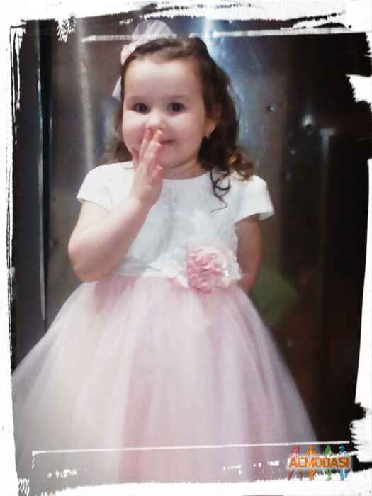 Прохар Иванович Сергиенко фото №1171935. Завантажено 24 Січня 2018