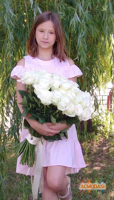 Дарья Александровна Тимохина фото №1306295. Завантажено 13 Жовтня 2018