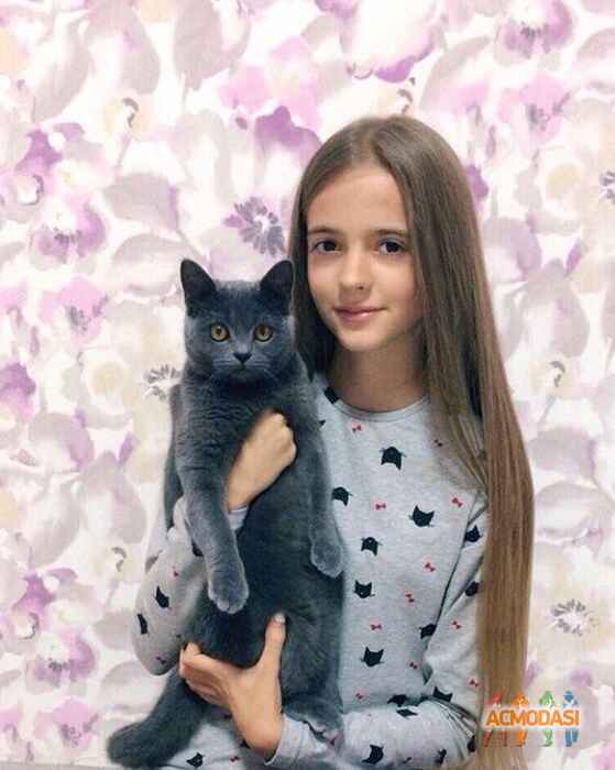 Вика   фото №1258735. Завантажено 15 Липня 2018