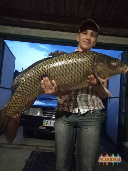 Олександр Володимирович Коваленко фото №1202268. Завантажено 08 Березня 2018