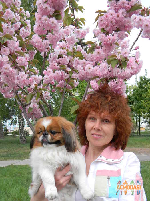 Алла  Пономаренко фото №1048900. Завантажено 29 Квітня 2017