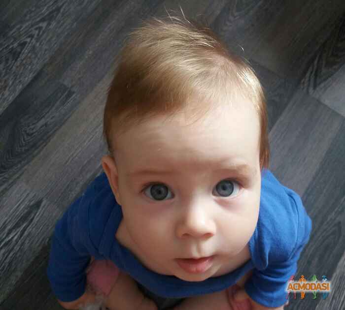 Захар Андрійович Усик фото №953366. Завантажено 05 Вересня 2016