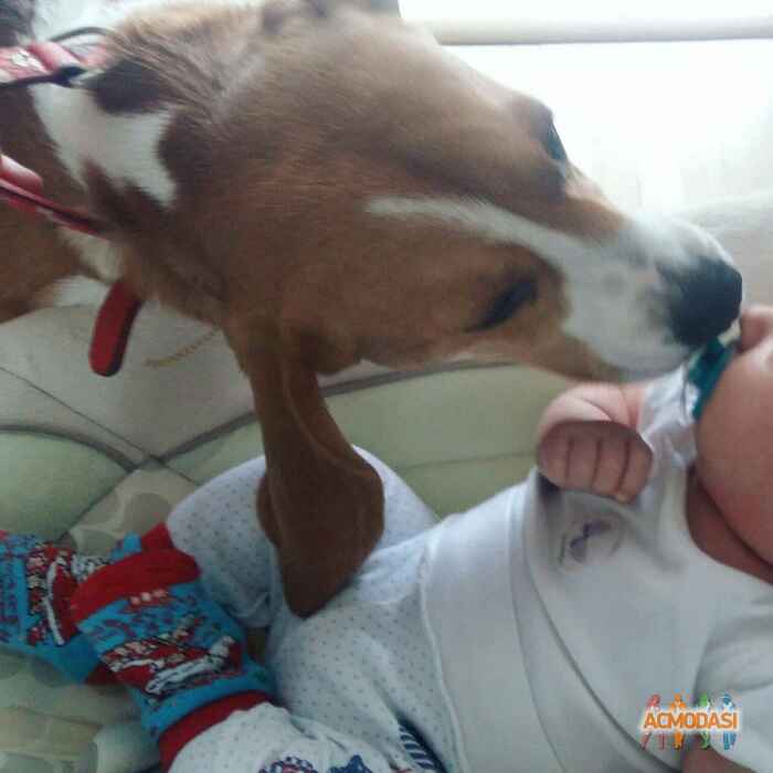 Алексей  Обух фото №1016180. Завантажено 04 Лютого 2017