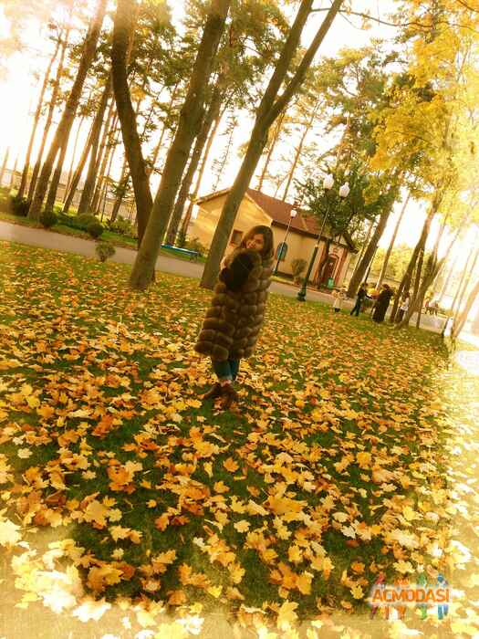 Ксения  Белан фото №1131370. Завантажено 06 Листопада 2017