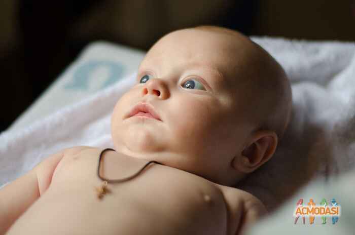 Святослав Андрiйович Мацко фото №1049945. Завантажено 03 Травня 2017