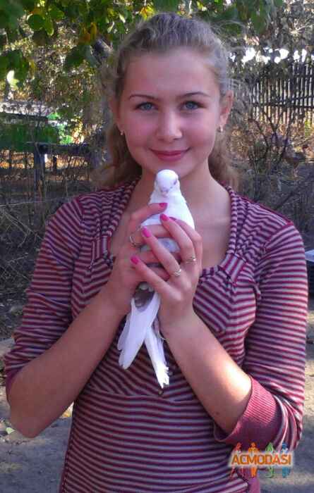 Аліна Анатолівна Чорногал фото №841014. Завантажено 13 Жовтня 2015