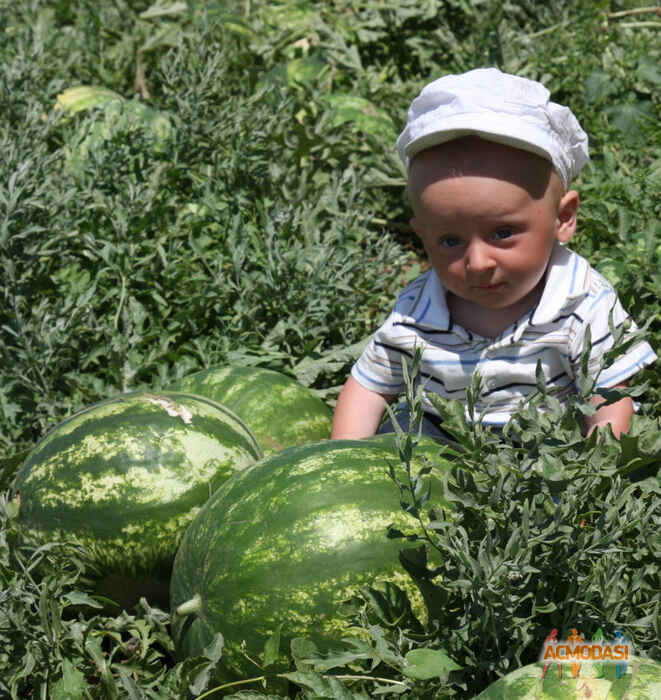 Андрій  Ель Каяль фото №1267958. Завантажено 31 Липня 2018