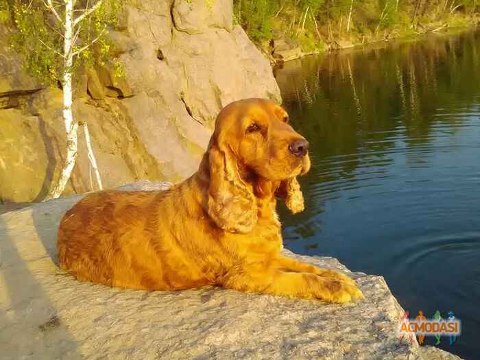 Татьяна  Романенко фото №1047535. Завантажено 26 Квітня 2017