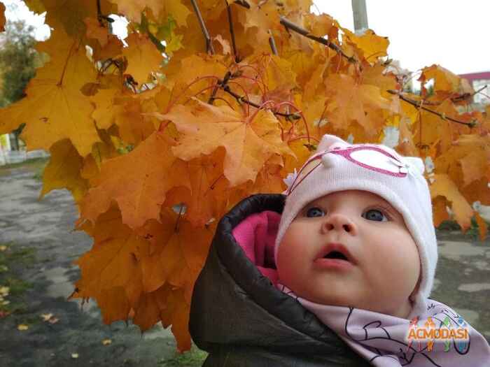 Эмилия  Полищук фото №1157774. Завантажено 28 Грудня 2017