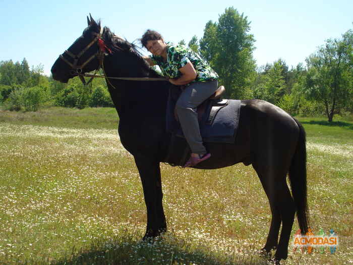 Ірина Леонідівна М фото №1065224. Завантажено 12 Червня 2017