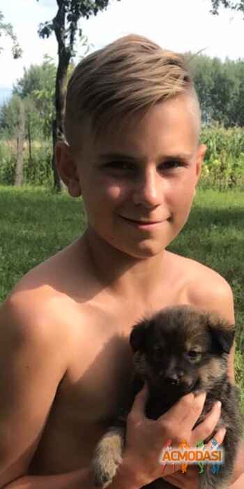 Льоха Миколайович Семенченко фото №1462028. Завантажено 16 Жовтня 2019