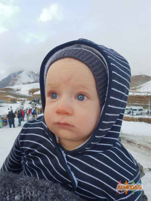 Веніамін   фото №1491032. Завантажено 24 Грудня 2019