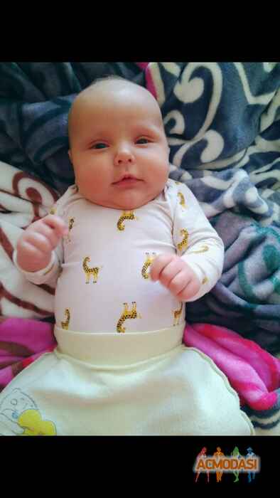 Лука Денисович Грабенко фото №1115990. Завантажено 10 Жовтня 2017