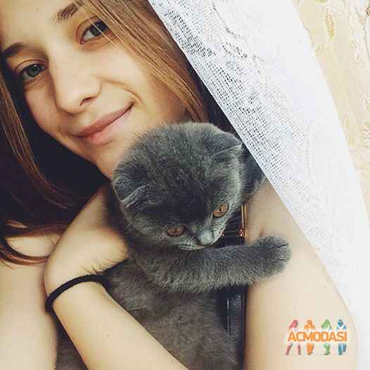 Дарья  Михайленко фото №1081208. Завантажено 20 Липня 2017