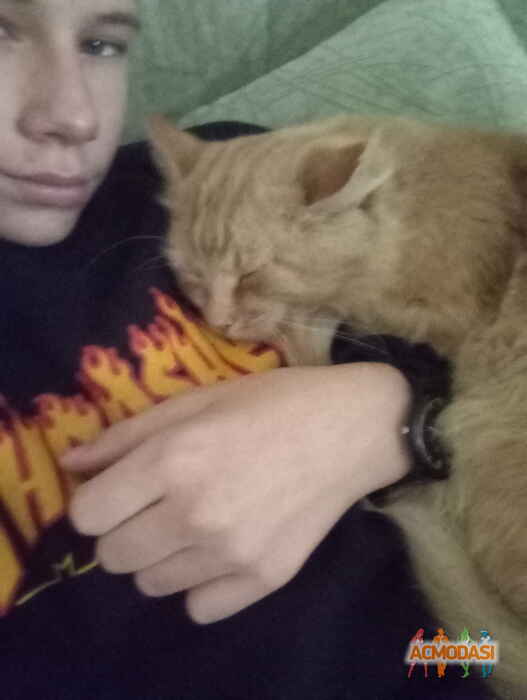 Назар Сергеевич Владимиров фото №1131016. Завантажено 05 Листопада 2017