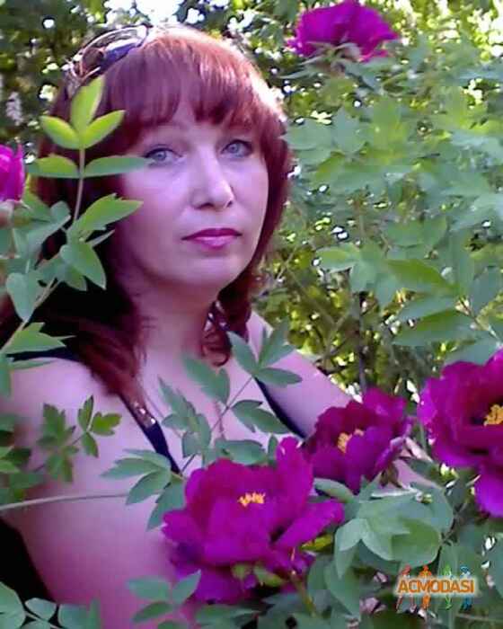 Светлана Михайловна Стеанцова фото №112801. Завантажено 29 Листопада 2011